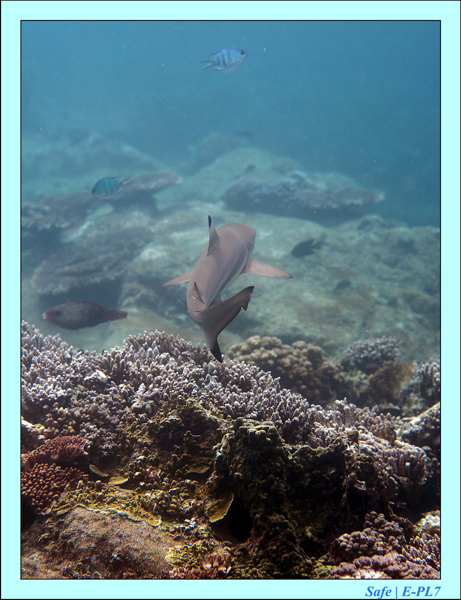 2016 - 07 - Leng Tengah - 034